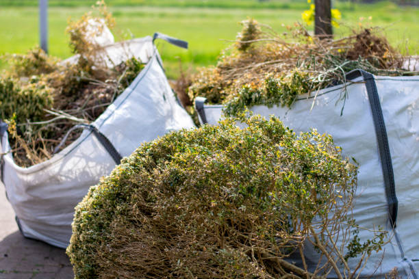 Best Hoarding Cleanup  in Carlton, OR